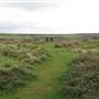 Lanyon Quoit