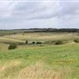 MOD - Salisbury Plain: Chisenbury Field Barn