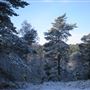 Rushmere Country Park