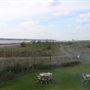 RSPB: Rainham Marshes
