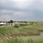 Tollesbury Wick Marshes