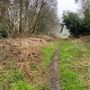 Eight Acres