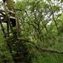 Clough Farm