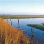 Salthouse Marshes