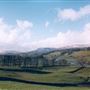Wensleydale