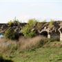Thames and Medway Canal and Shornemead Fort