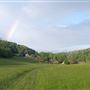 Elms Farm