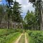 Private Tracks (Cowdray Estate)