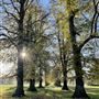 The Park, the street Grittleton