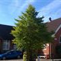 Sunningdale Village Hall, Church Road