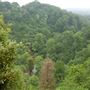 Blaise Estate and Woods