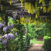 Barnsdale Gardens