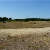 Greenham and Crookham Common