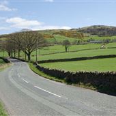 A685