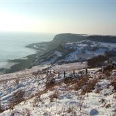 Hastings Coastline