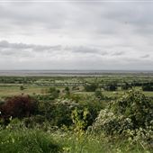 Two tree Island