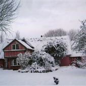 Joss Cottage
