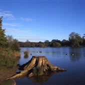 Dedham Vale and Stour Valley