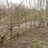 Wren's Nest National Nature Reserve