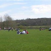 Ryton Country Park