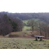 NT - Clent Hills
