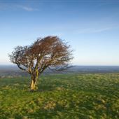 NT - Devils Dyke SDNP