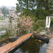 Brownhill House Garden