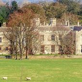 Wytham Abbey