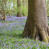 Headley Warren Nature Reserve