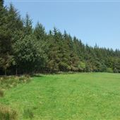Pendle Sculpture Trail