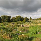 Chesham Town Council Allotments