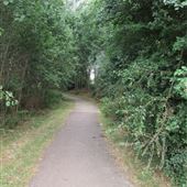 Riverside Walk