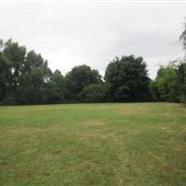 Archer Drive