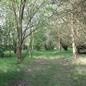 Stour Valley Community School - Grounds