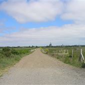 Palmer's Lane - Walberswick