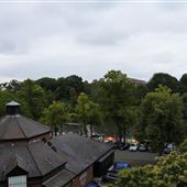 River Bank (River Dee), Chester