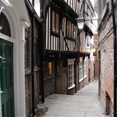 Lady Pecketts Yard