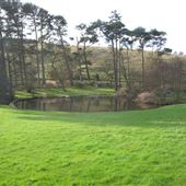 Langley Estate