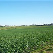 Therfield Landscapes