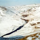 Cheviot Hills