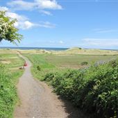 Warkworth Beach