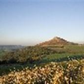 Roseberry Topping