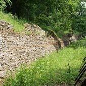 Verulamium Park