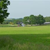 Pelsall North Common