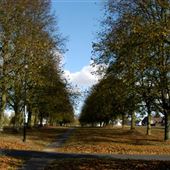 Redbourn Common