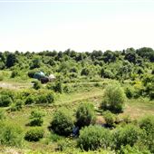 Monkton Nature Reserve