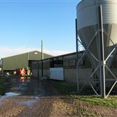 A - Forty Acre Farm