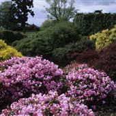 NT - Emmetts Garden