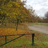 Bewl Water