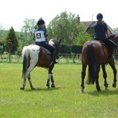 Callum Park Riding School